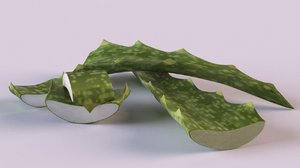 3D aloe plant vera