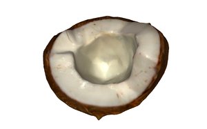 3D half coconut