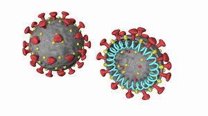 3D novel coronavirus covid-19 virus