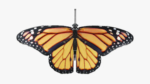 butterfly rigged animate 3D
