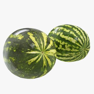 02-03 hi polys watermelon 3D model