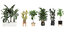 3D set plants pots interior