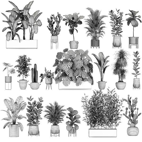 Exotic plants 3D model - TurboSquid 1636836