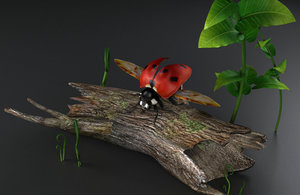 insects ladybugs lady flowers 3D model