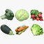 3D radish vegetable lettuce