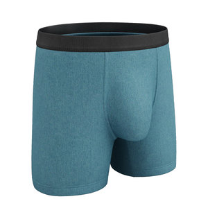 cloth underpants briefs 3D