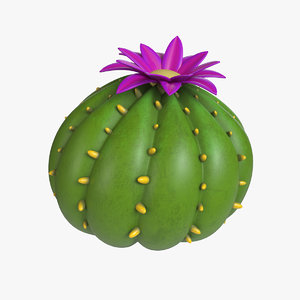 3D cartoon cactus