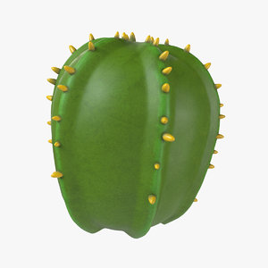 cartoon cactus 3D model