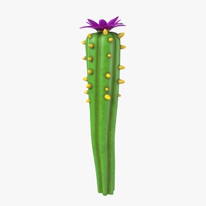 3D model cartoon cactus