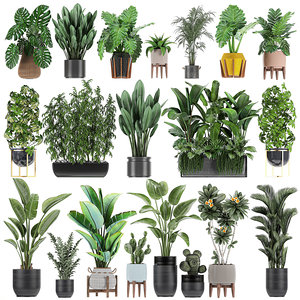 exotic plants 3D model