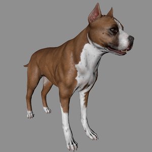 Pitbull 3d Models For Download Turbosquid