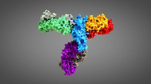 antibody covid corona 3D model