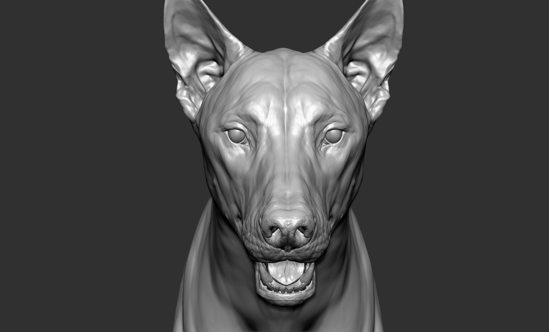 3D wolf zbrush - TurboSquid 1639576