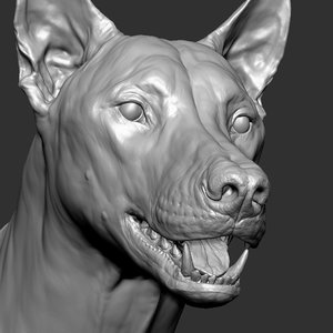 3D wolf zbrush