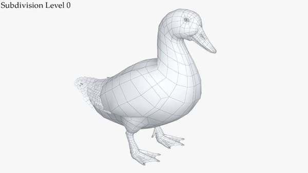 duck white 3d model