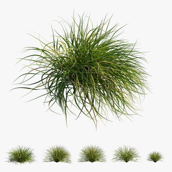 Free Blender Grass Models Turbosquid