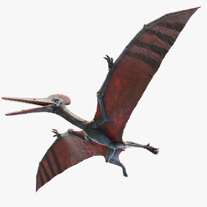 pterodactyl 3d google