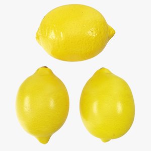 3D 02-04 lemon