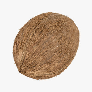 3D coconut 01 raw scan