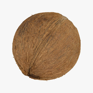 coconut 03 raw scan 3D model