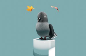3D pigeon bird