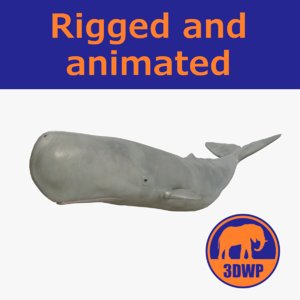 rigged whale 3D model