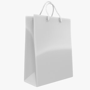 shopping bag model