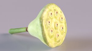 3D model seeds fruit