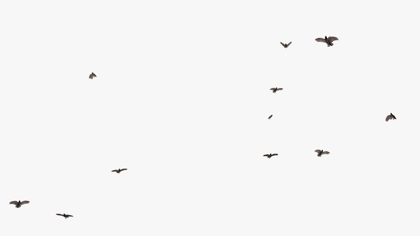 アニメーション化された多くの空飛ぶハゲタカ3dモデル Turbosquid