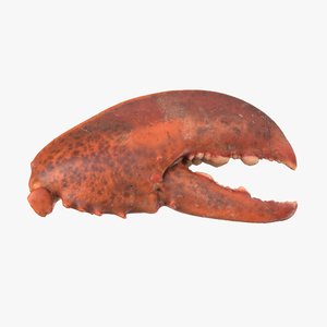 3D cooked lobster