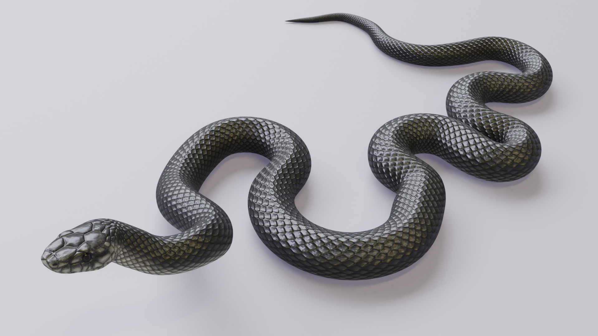 3d Model Black Mamba Snake Animation - Turbosquid 1643697