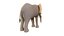 stylized elephant 3D model