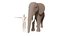 stylized elephant 3D model