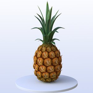 pineapple food fruit 3D