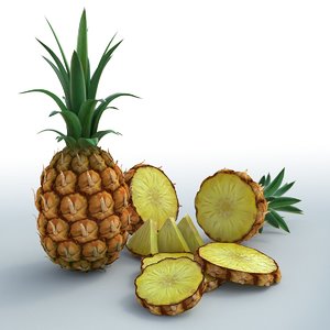 pineapple 3D model