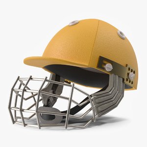 3D cricket helmet