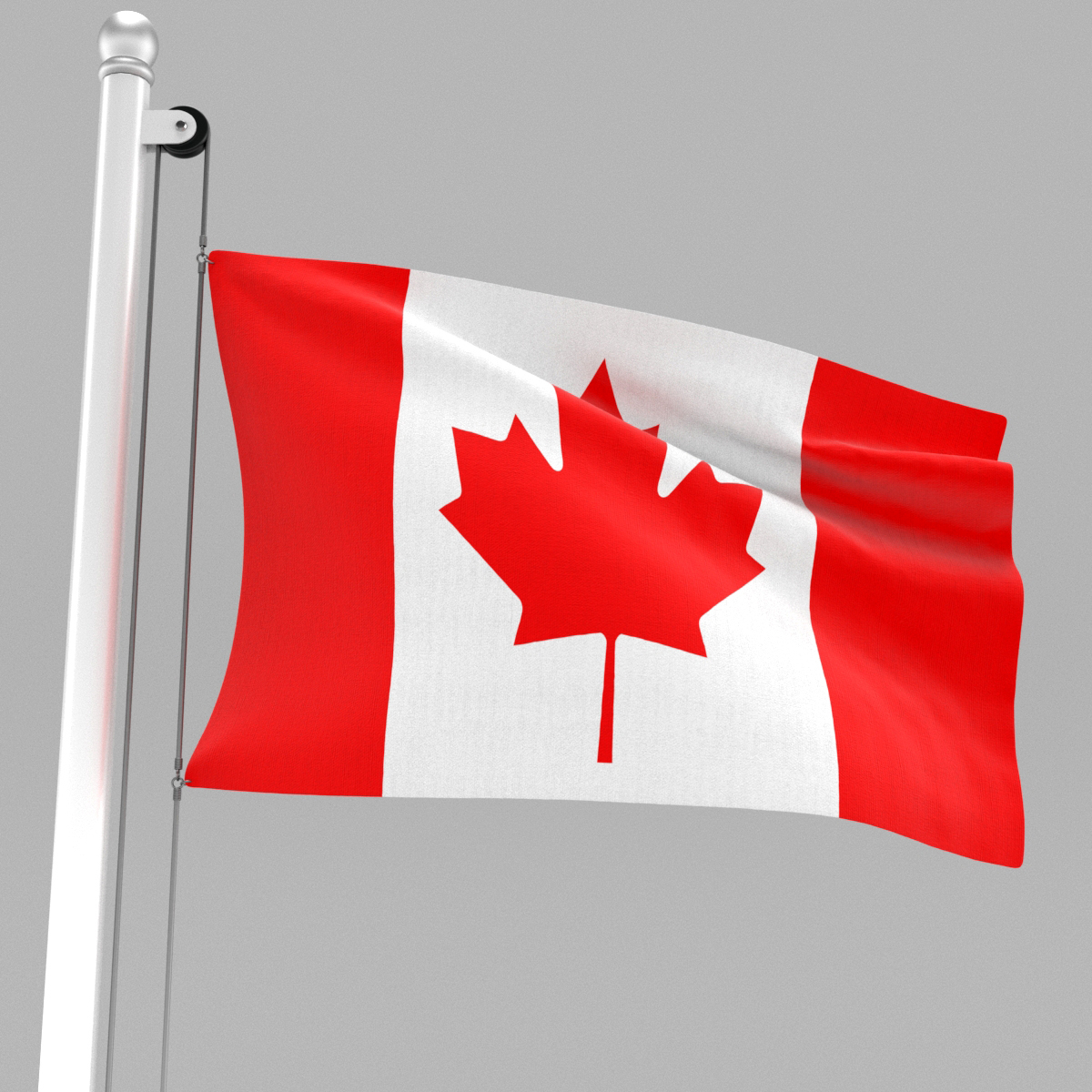 3D canada flag - TurboSquid 1645236