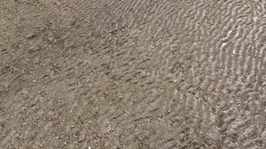 Dirt Terrain PBR Pack 16