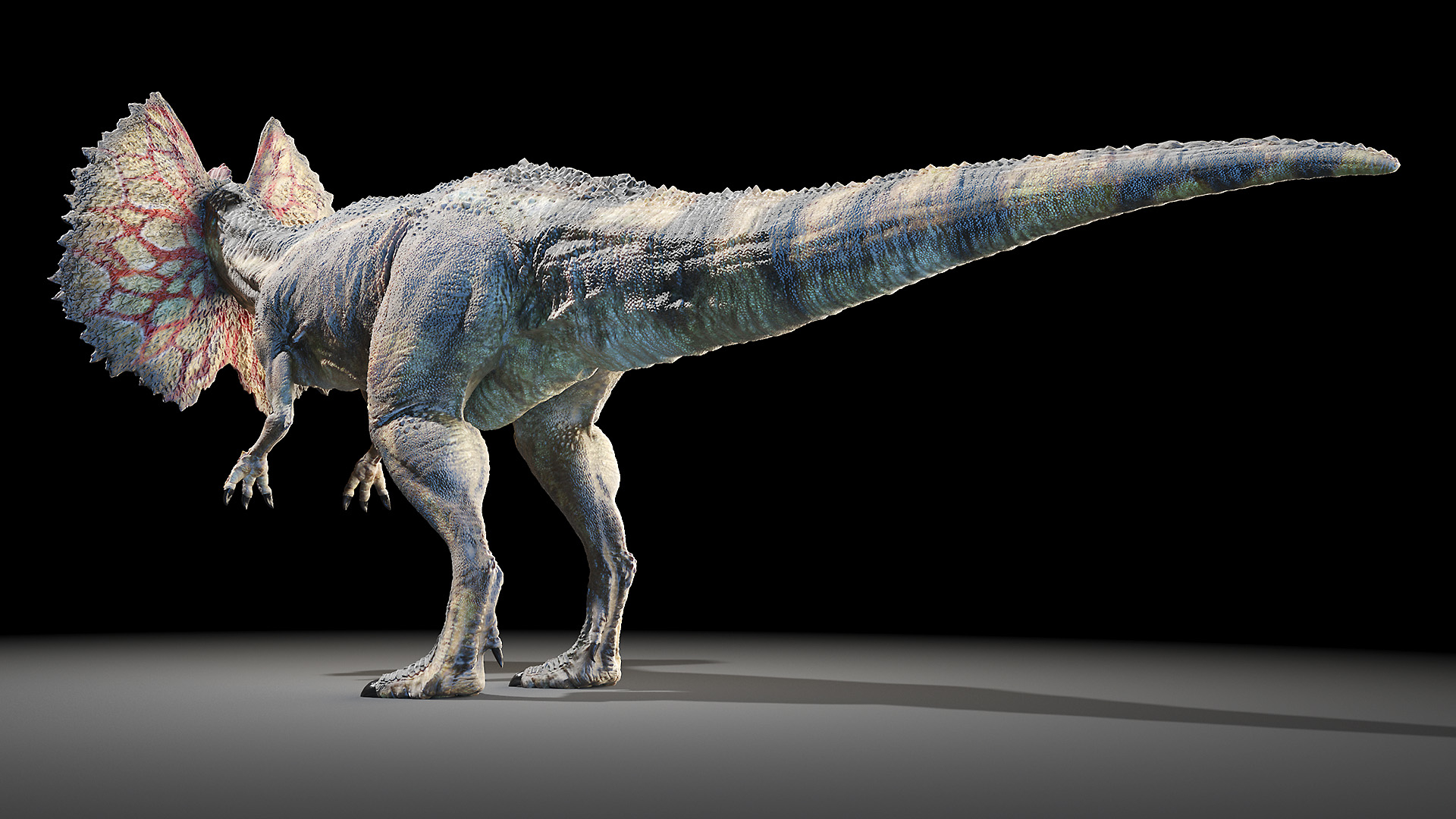 dilophosaurus animated3d模型