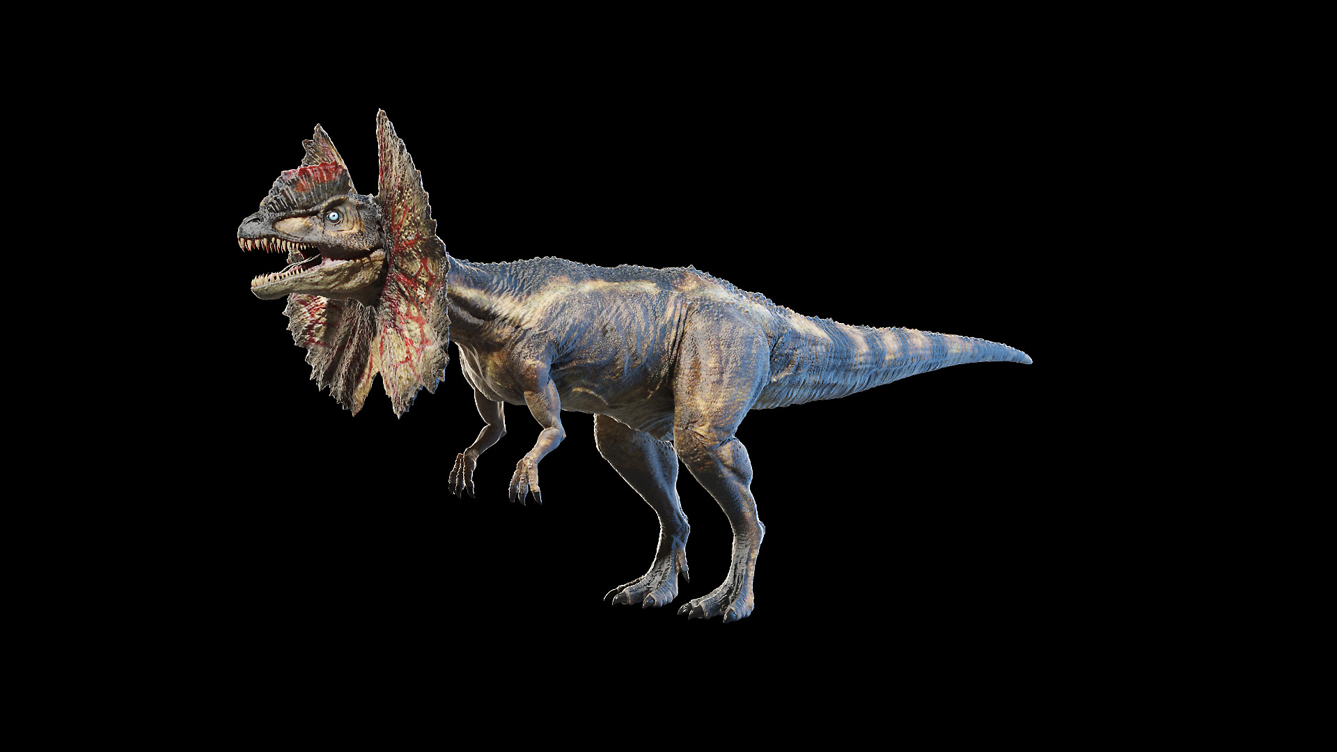 dilophosaurus animated3d模型