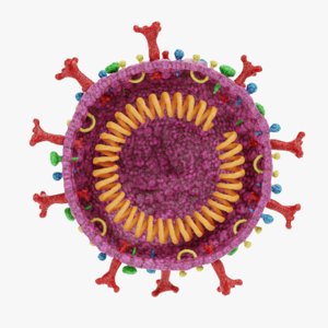 covid-19 coronavirus model