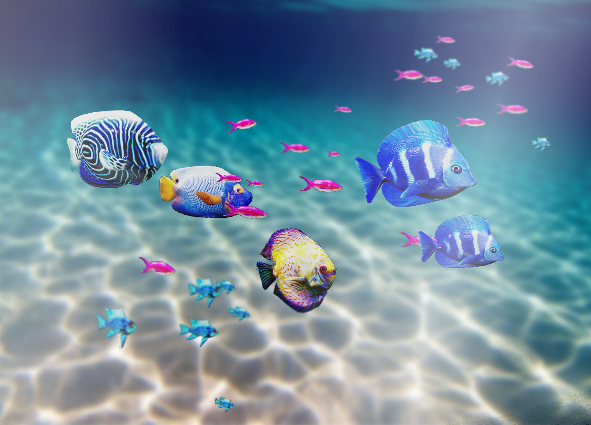 3D model tropical fish swimming animation - TurboSquid 1647593