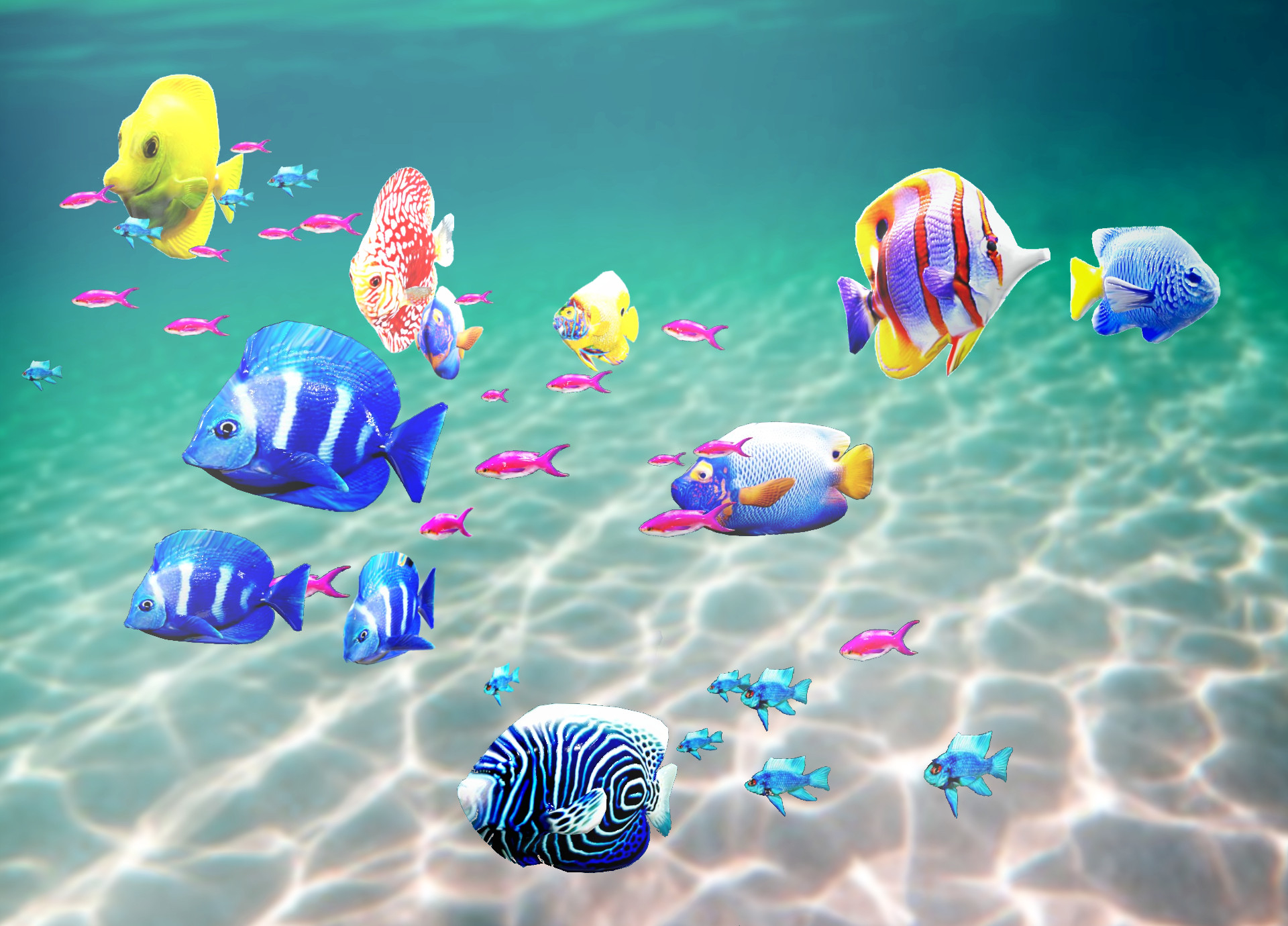 3D model tropical fish swimming animation - TurboSquid 1647593