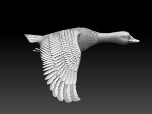 Goose 3D Models for Download | TurboSquid
