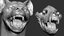 3D hyena facial expressions