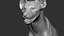 3D hyena facial expressions