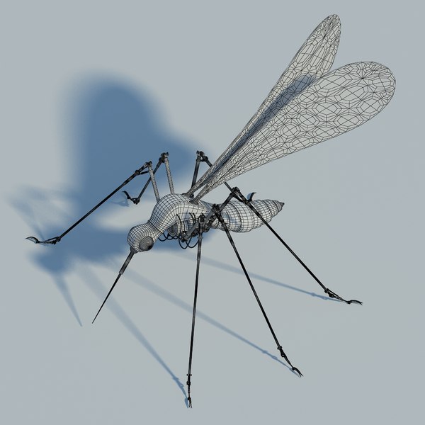 large scale mosquito model