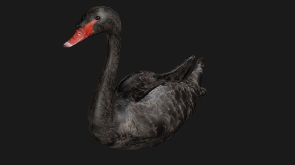 3D model swan - TurboSquid 1648856