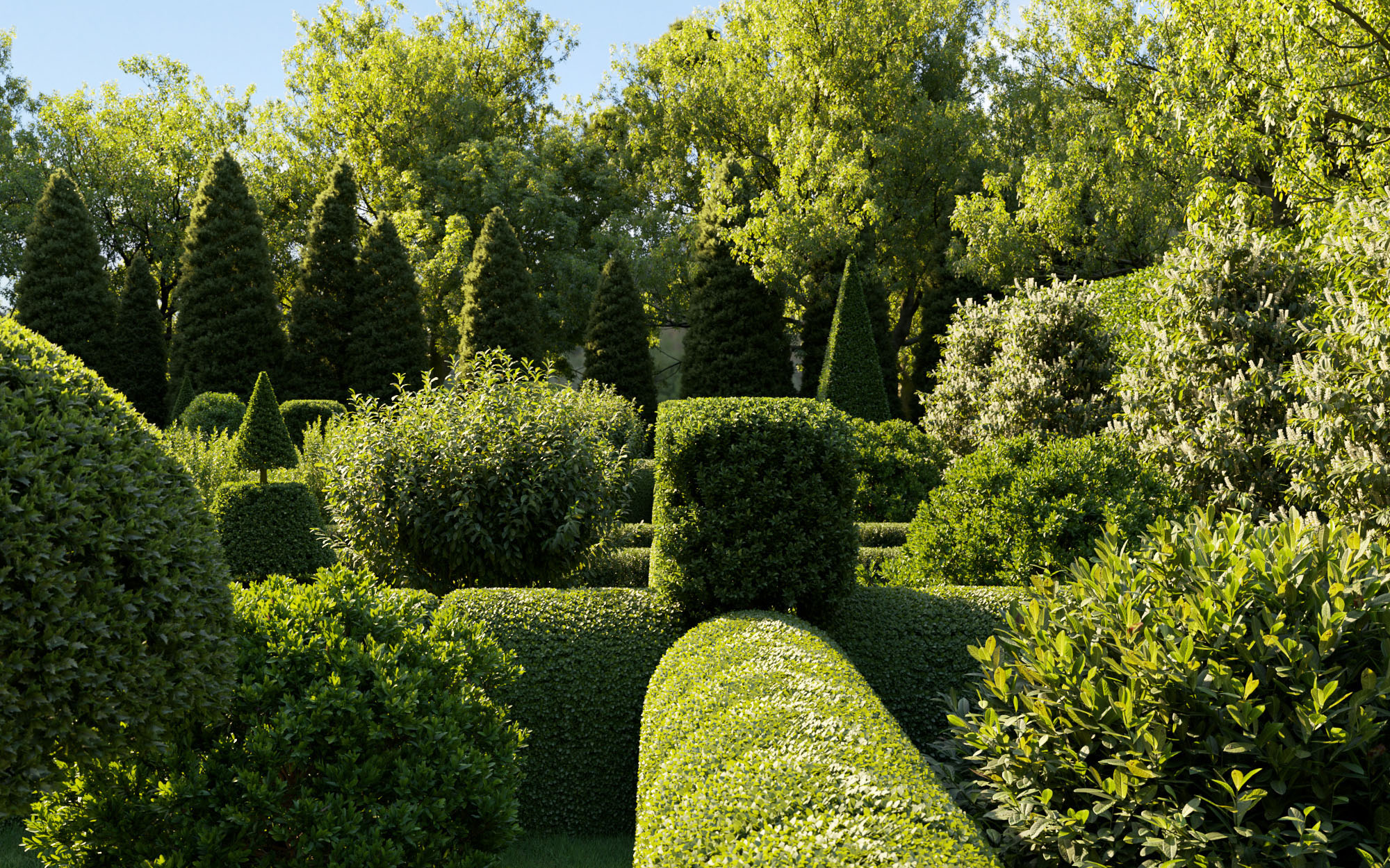 boxwood shrub collection - include growfx and mesh file 3d model