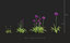 grass includes growfx files 3D model